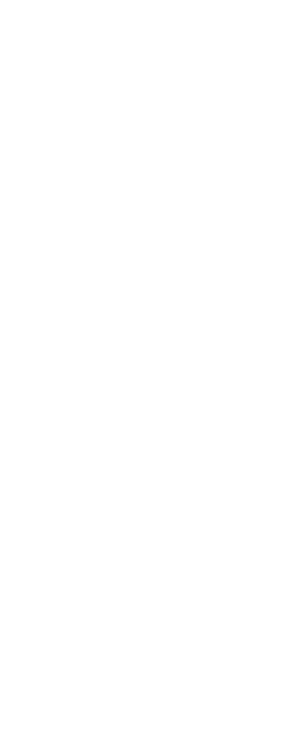 Stelicon