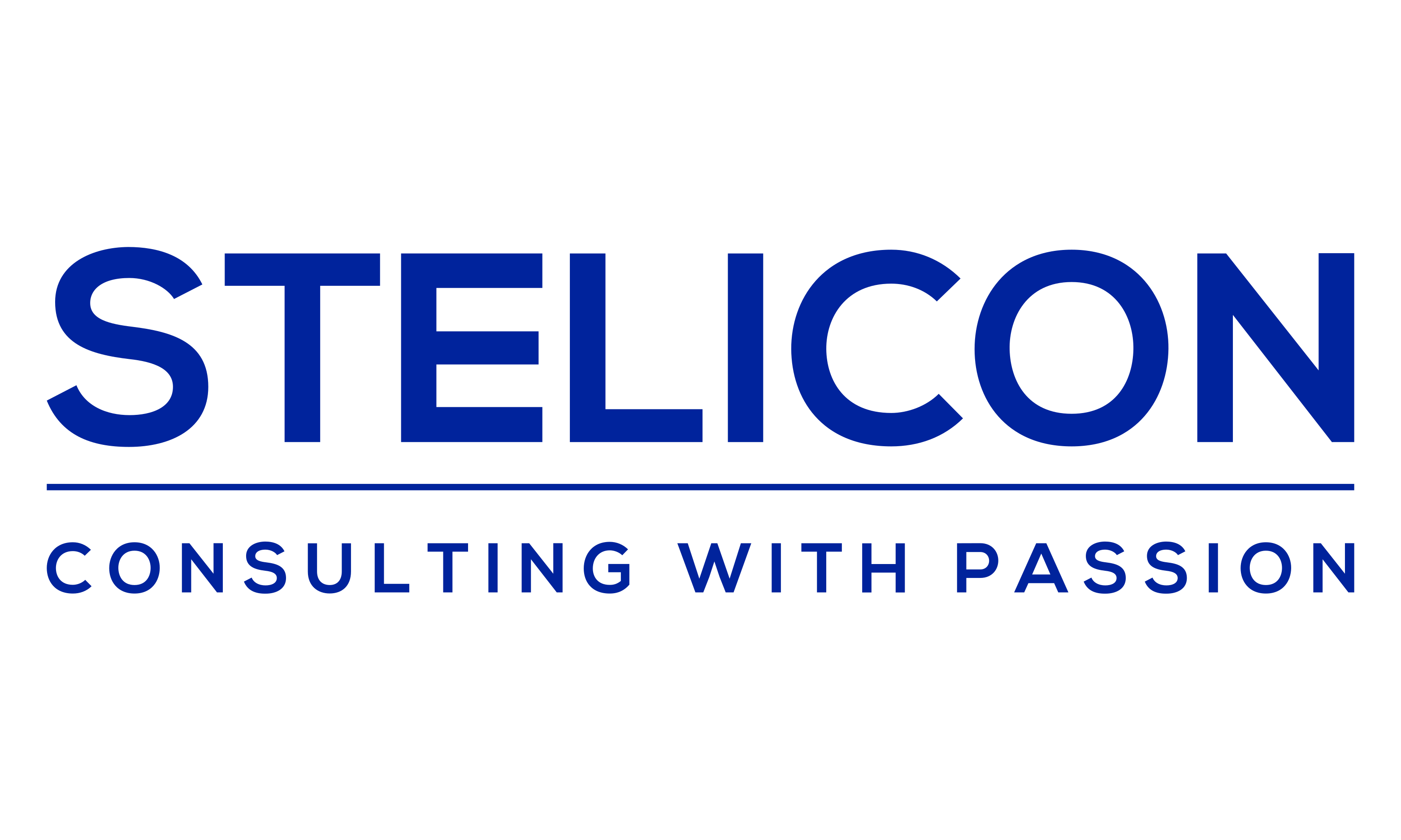 Stelicon Consulting with Passion