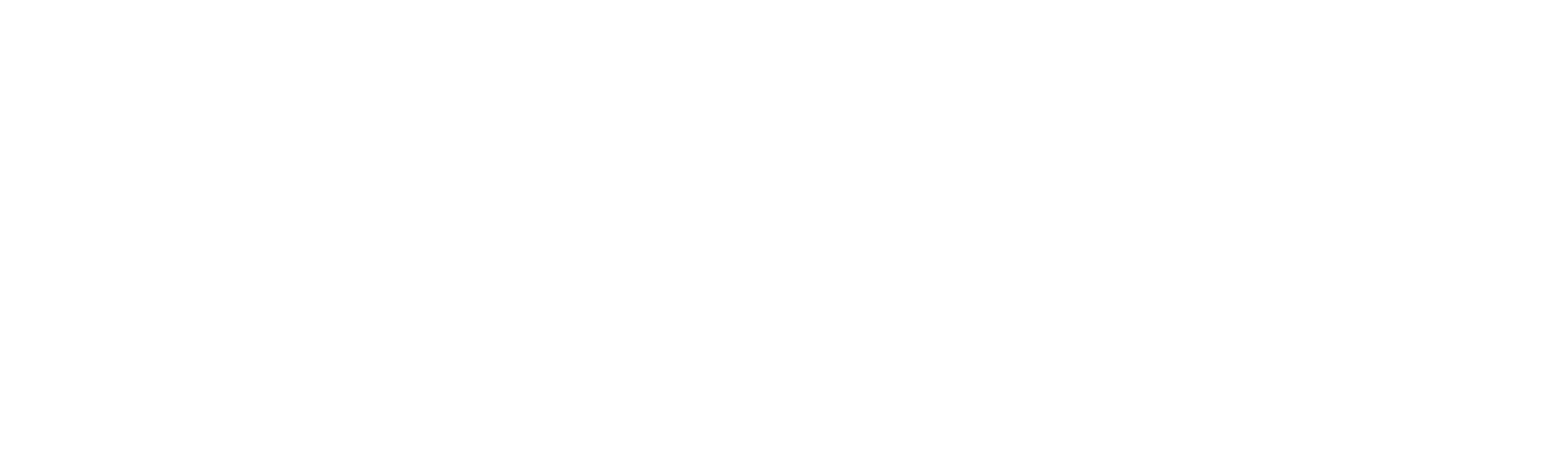 Stelicon Consulting with Passion